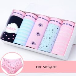 Cotton Comfort Panty Five Pack - 110, XL