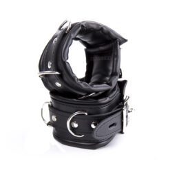 Tail Plug Handcuff Kit - Image 5