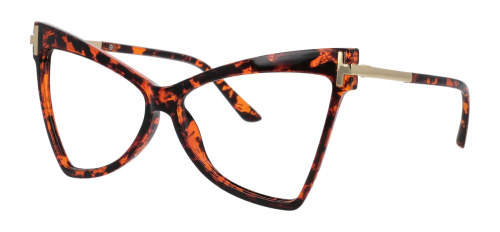 C2Leopard