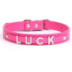 Say My Name Custom Collar - Image 4