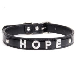 Say My Name Custom Collar - Image 5