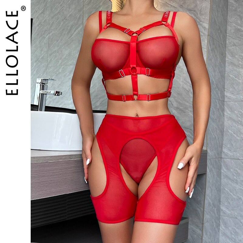 Sheer Temptation Lingerie Set