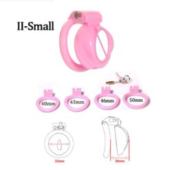 Feminized Pussy Chastity Cage - Small Cage II