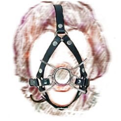 Leather Head Harness w/ Mouth Gag - H Ball Gag