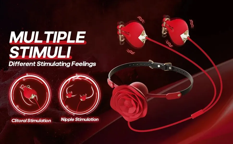 2 in 1 Vibrating Nipple Toys With Detachable Rose Mouth Gag Portable Size Nipple Clamps Stimulator Sex Toys for Women Couples