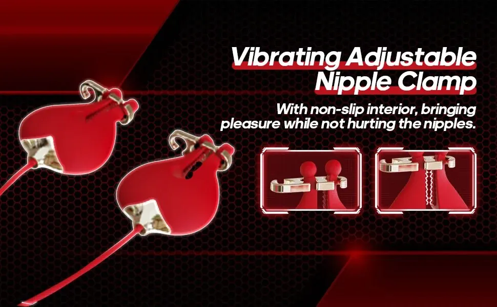 2 in 1 Vibrating Nipple Toys With Detachable Rose Mouth Gag Portable Size Nipple Clamps Stimulator Sex Toys for Women Couples