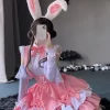 Femboy School Cute Costume