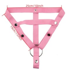 Pink Anti-Off Chastity Belt - Type D