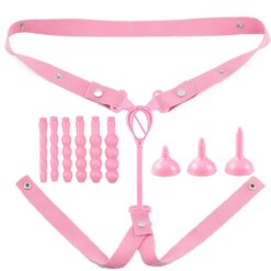 Chastity Belt & Urethral Plug