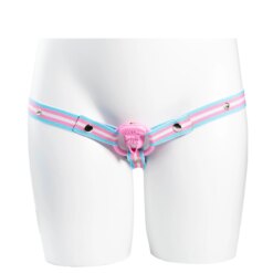 Chastity Cage Strap Belt